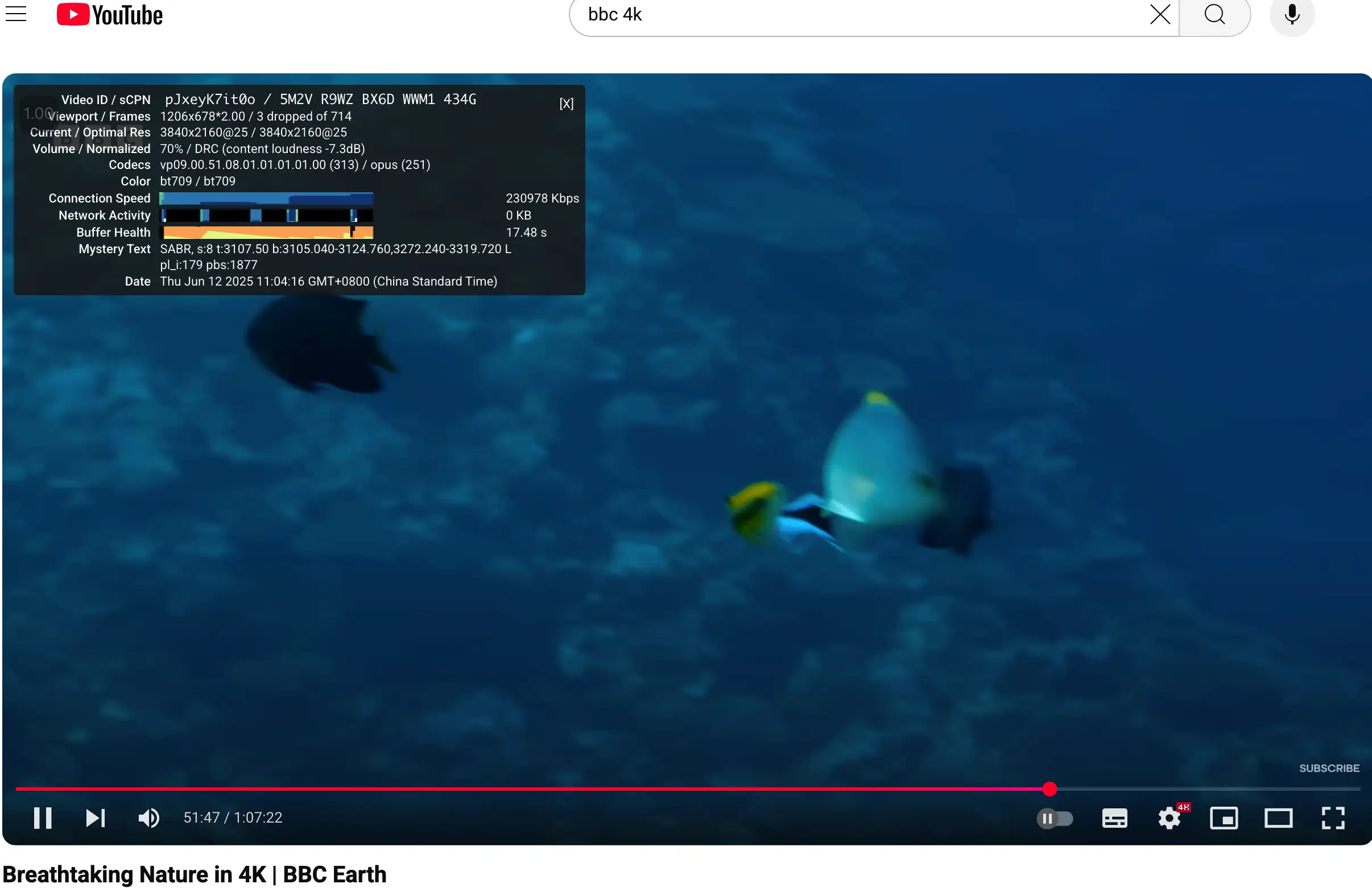 WgetCloud YouTube 4K播放截图
